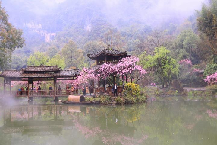 除虫大师