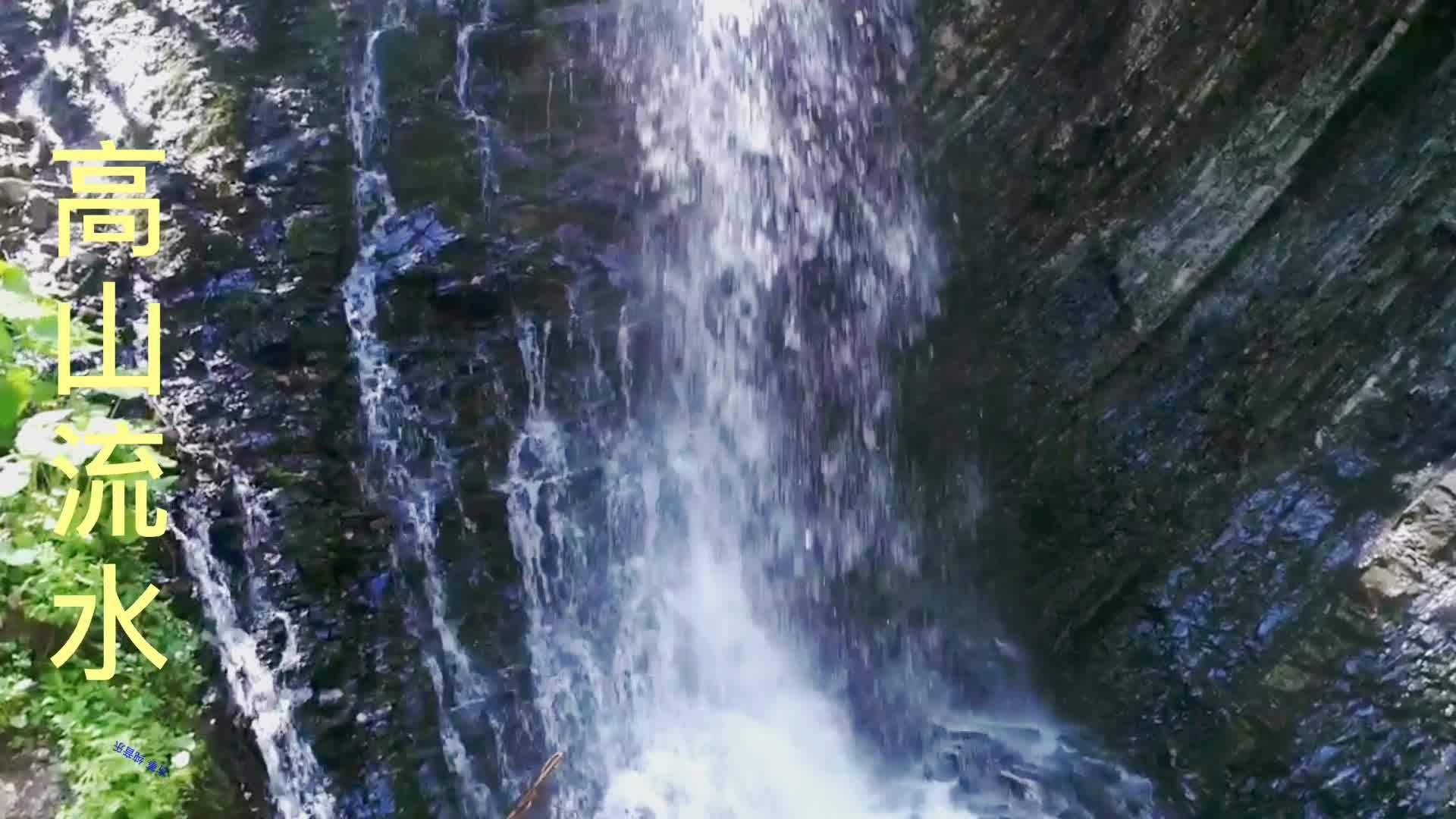 贪吃鼠吃豆豆